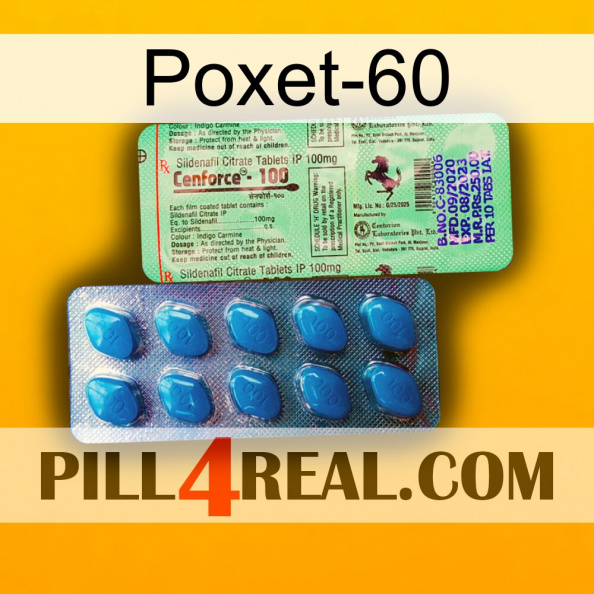 Poxet-60 new02.jpg